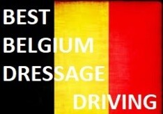 AVEVE - Best of Belgium 2018 - Linden