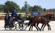 EK Jeugd Flyinge: Brons voor Niels Ver Eecke, België plaats zes