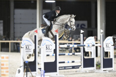 Arno Boon wint de troosting voor de 7-jarige paarden