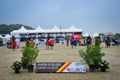 Tweemaal goud voor Joris Geenen op BK 4-jarigen