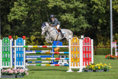 Brons voor Studbook Zangersheide in de finale voor de 8-jarige paarden