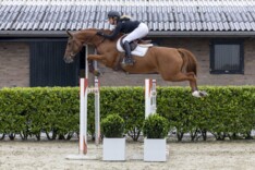 Carambia PB breekt Youhorse.auction-records met 115.000 euro