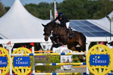 Annelies Vorsselmans scoort top 10-klassering in de CSI2* GP van Riesenbeck