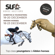 Verrijk uw stallen:  uitzonderlijke paarden en embryo's wachten op SLF Horse Auction in december