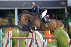 Familie Philippaerts verkoopt Poppemieke JW van de Moerhoeve naar Frankrijk