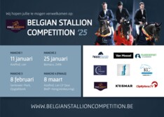 Recordaantal hengsten aan de start van de Equilannoo Belgian Stallion Competition