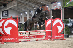 47 foutlozen bij de 4-jarige hengsten in de Belgian Stallion Competition