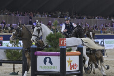 EQUIGALA : Prize of the Jury voor Dries Degrieck