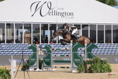 Nicola Philippaerts wint opnieuw de WEF Challenge Cup in Wellington