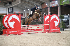 44 foutlozen tijdens derde manche van de Belgian Stallion Competiton voor 4-jarigen