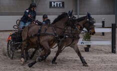 Ellen Vangoidsenhoven en Luka Verheust : Winnaars in de grootste reeksen