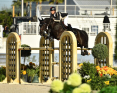 Twee op twee voor Nicola Philippaerts en Derby de Riverland