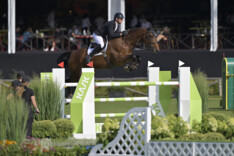 Topklassering voor Koen Vereecke in avondrubriek van Saut Hermès