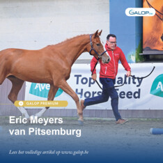 Eric Meyers van Pitsemburg