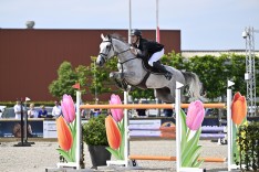 Bart Jay Junior Vandecasteele is Belgische sterkhouder in CSI3* Grand Prix van Lier