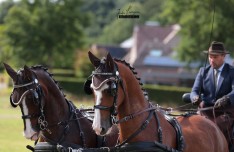 Bert De Brabander wint in Genk en pakt leiding in Beker van België