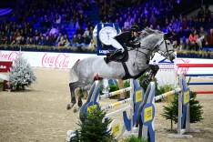 Jonge paarden tonen vorm in Lier