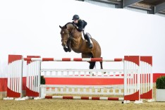 Dubbele klapper op winterveiling Youhorse.auction: Tweemaal 125.000 euro
