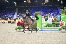 Toen alles stil stond in de Belgische springsport