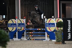 9 Belgen én 15 Belgische 5-jarige hengsten FOUTLOOS