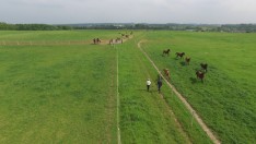 Belgische fokkerij blijft ook over de landsgrenzen heen indruk maken