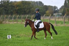Belgische jeugdpaardenruiters veroveren Europa: topprestaties op EK in meerdere disciplines