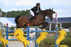 Frederic Vernaet vijfde in CSI5* 1m55 op  Brussels Stephex Masters