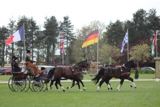 Belgisch Kampioenschap Mennen barst morgen los in Libramont: zeven nationale titels op het spel