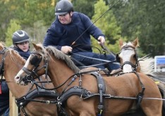 Twee Belgen aan de start in Utrecht: Jonas Corten wint bij de vierspan pony’s