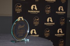 De winnaars van de allereerste Gouden Leidsels Awards zijn bekend!
