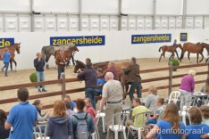 Z Festival, inschrijven tot 18 juli