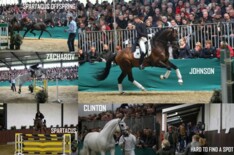 Hengstenshow Team Nijhof 11 april 14.00 uur