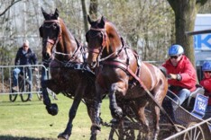 Gelderse mentalenten aan de start in Ermelo