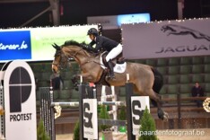 CSI5* Knokke: Patteet 4de in hoofdrubriek