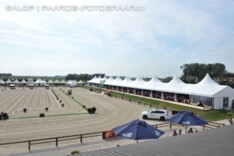 Hattrick voor Belgische dressuuramazone