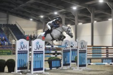 Hengstenshow weekend