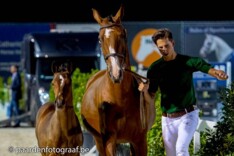 Belgen behouden Flanders Foal Auction-veulen