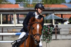 EK pony's: Enkel Sebrechts foutloos in jacht