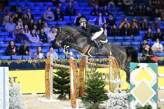 Zilver voor Louis Le Grelle in de CSI2* GP van Opglabbeek