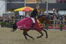 Landiamo, Don Darco en Jackson eindwinnaars