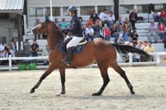 Podium STX Cyclus vierjarigen bekend