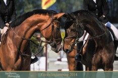 Team Groentenjumping klaar voor 2 weekends!