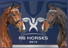 Bekijk de hengsten van RB-horses