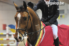 Falco van de Rostal naar Abdel Said