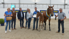 Z-Festival: Cornet en Aganix eerste winnaars