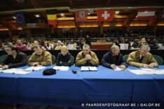 Programma derde fase BWP-hengstenkeuring