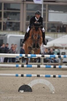 CSIYH Lier: De Winter, Gelin en Gysbrechts