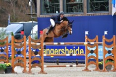 CSI5* Treffen: Vanderhasselt wint LR-proef!