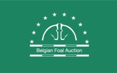 Belgian Foal Auction selecteert!