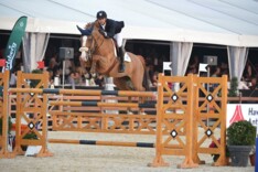 Omzet Z-Ashford Auction bijna 300.000 euro